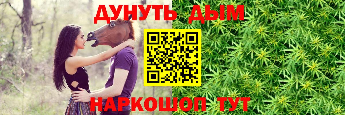Конопля сатива Родники